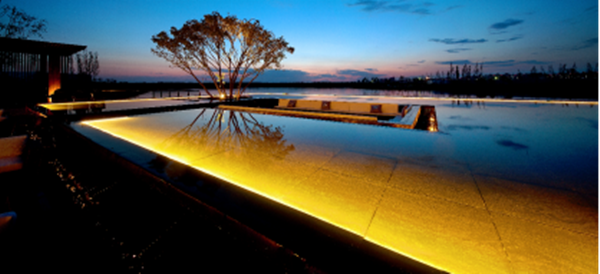 專訪由楊:獨特的管理體系助力優地聯合高效運營