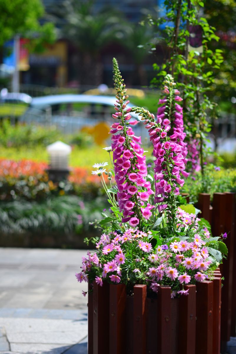 億朵園藝微花展作品榮登2016設計之都創意推薦榜