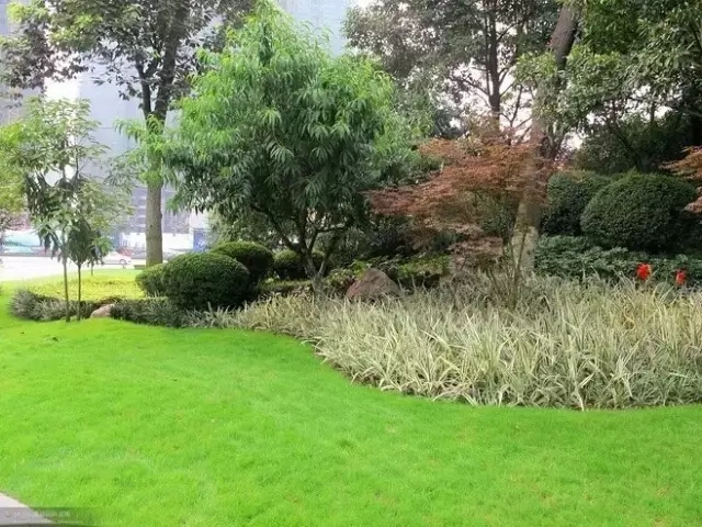 萬科居住區景觀植物設計要點