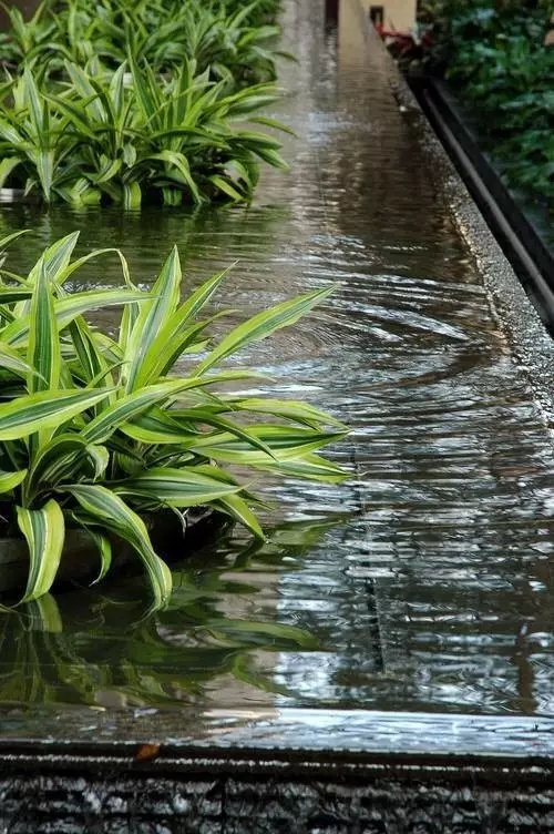 水在景觀設(shè)計(jì)中的應(yīng)用