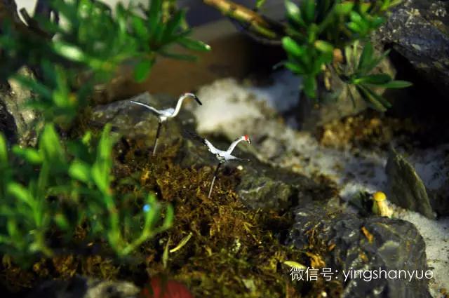 墨爻盆景作品：春之寄盼 恰似眼前——春靄曉色