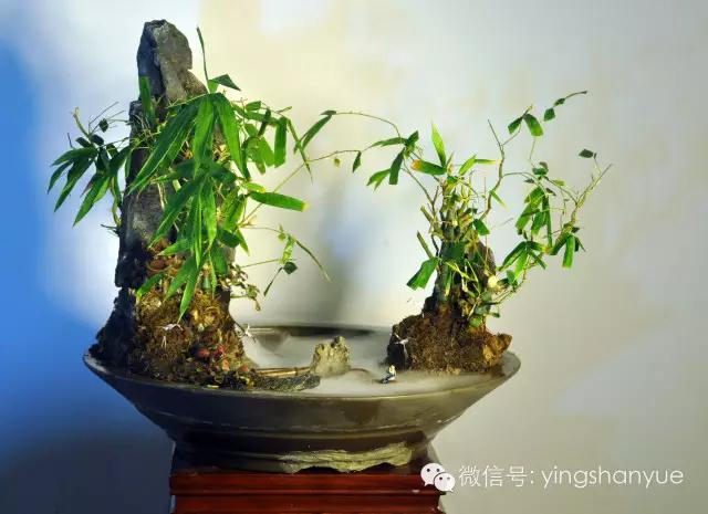 墨爻盆景作品：家鄉(xiāng)美景——《漢上夢(mèng)溪》