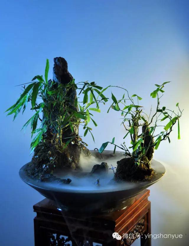 墨爻盆景作品：家鄉(xiāng)美景——《漢上夢(mèng)溪》