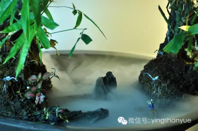 墨爻盆景作品：家鄉美景——《漢上夢溪》
