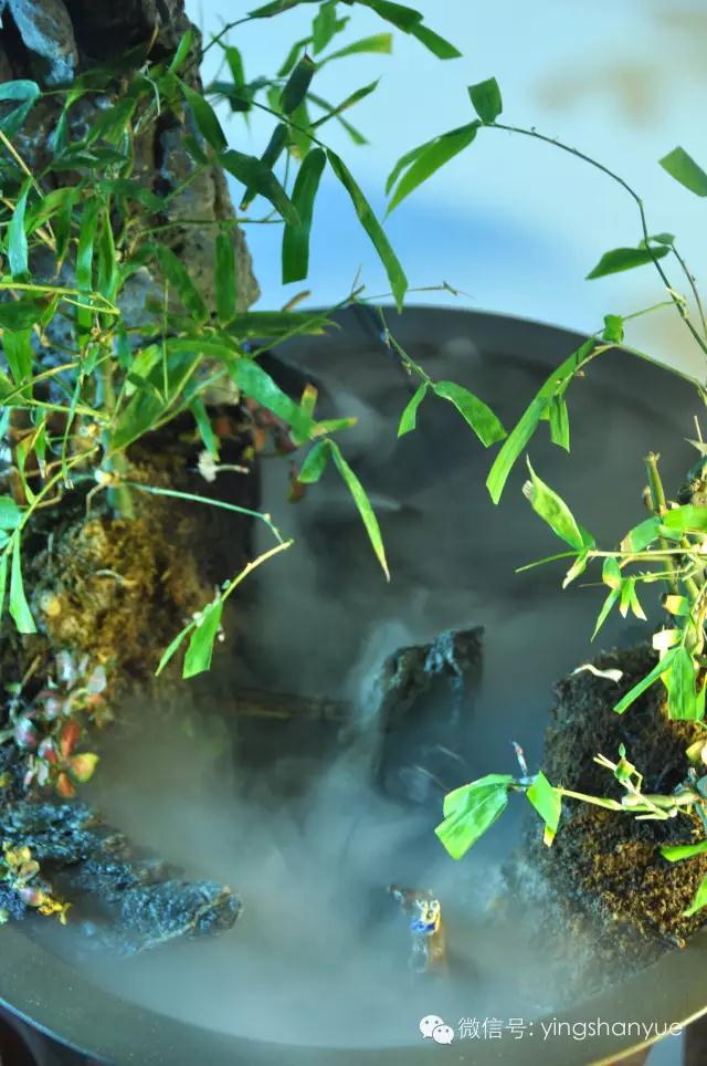 墨爻盆景作品：家鄉美景——《漢上夢溪》