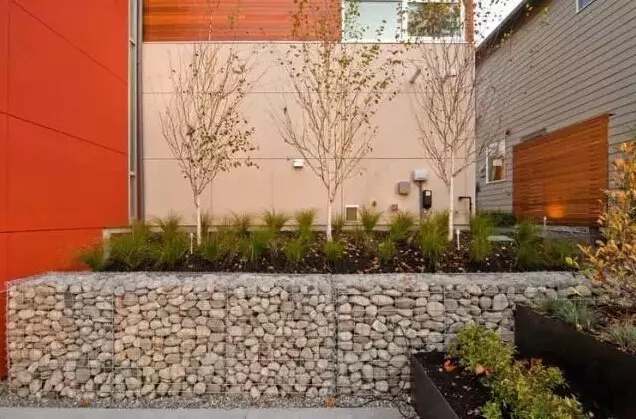 石籠與植物搭配大全