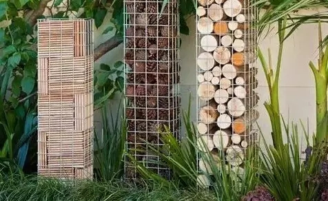 石籠與植物搭配大全