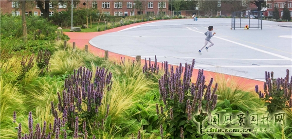 【9月22日頭條】荷蘭“荒野生存”兒童游樂(lè)場(chǎng)景觀設(shè)計(jì)