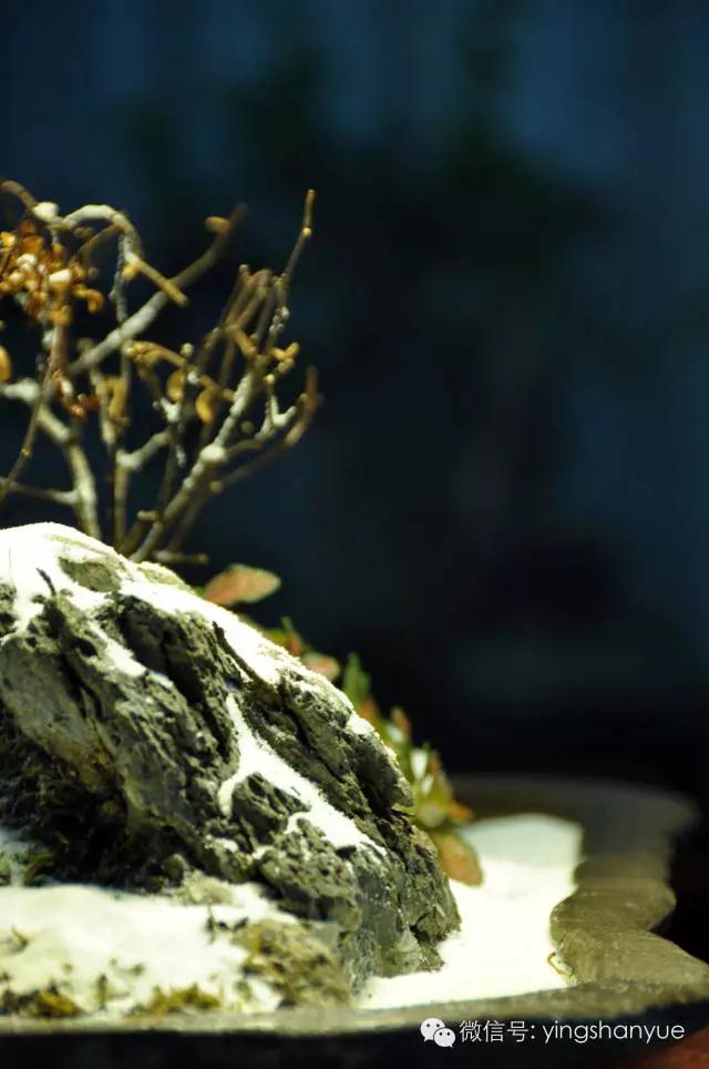 墨爻盆景作品：片片互玲瓏，飛揚玉漏終。——《山澗小雪》