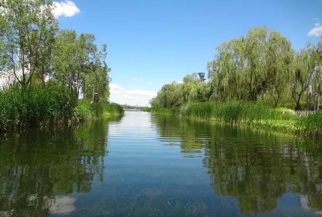 愛爾斯：奧林匹克公園龍形水系生態工程