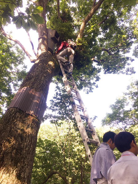 保護生物多樣性需要人類智慧