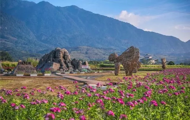 生態景觀案例——臺東花海