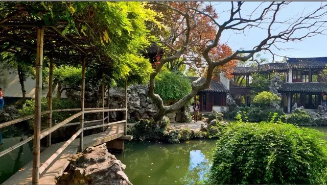 同里古鎮指望這個園子活著——退思園