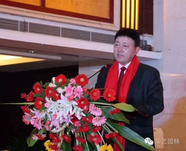 “追夢者”胡優華：在傳承創新徽派園林中從容生長