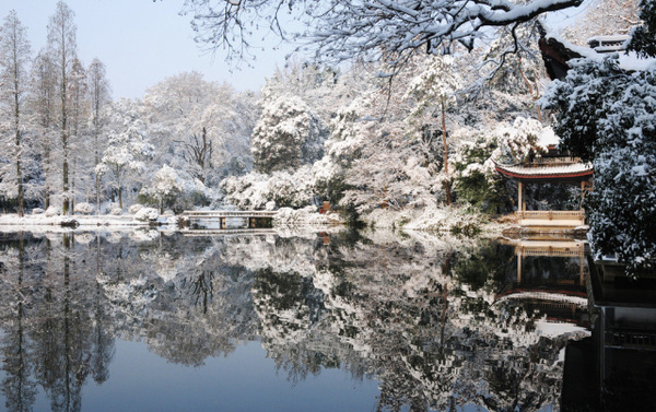 陳從周:中國近代的園林藝術宗師