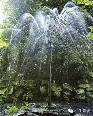 最全小水景小品組圖不容錯過!