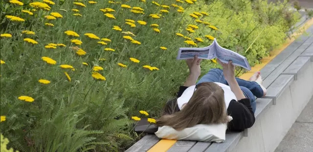 不得不看的優秀校園景觀設計