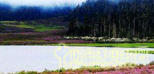 2016園冶杯專業(yè)獎參賽項目: 懷遠(yuǎn)縣S307道路園林景觀工程設(shè)計