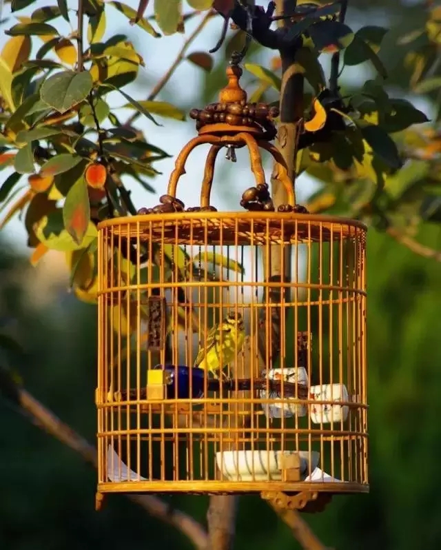 新中式設計必備:100個絕美中國符號·新中式元素(下)