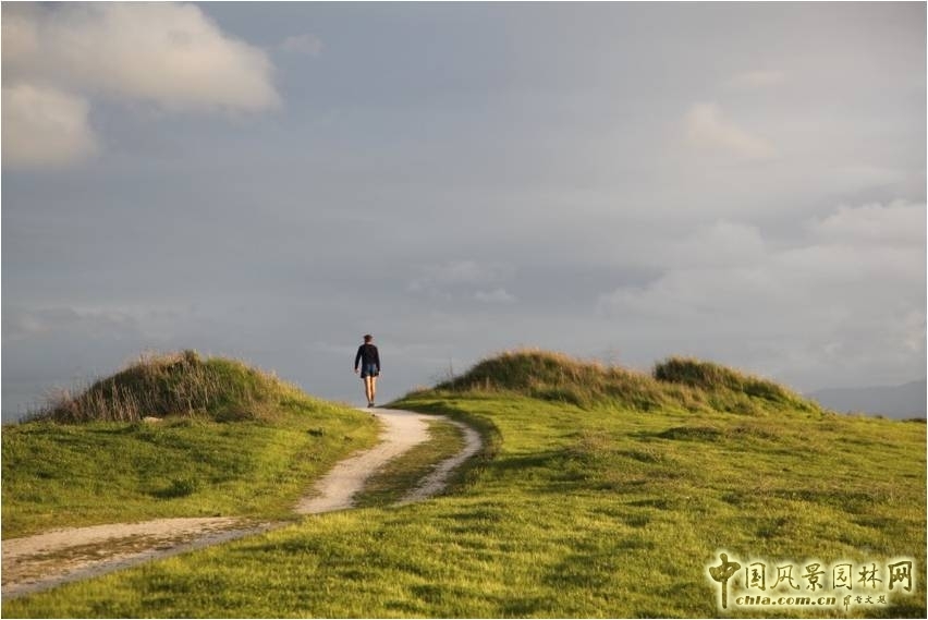 【園冶講壇】劉志成：風景園林設計的形式