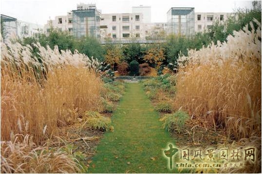 【園冶講壇】劉志成:風(fēng)景園林設(shè)計(jì)的形式