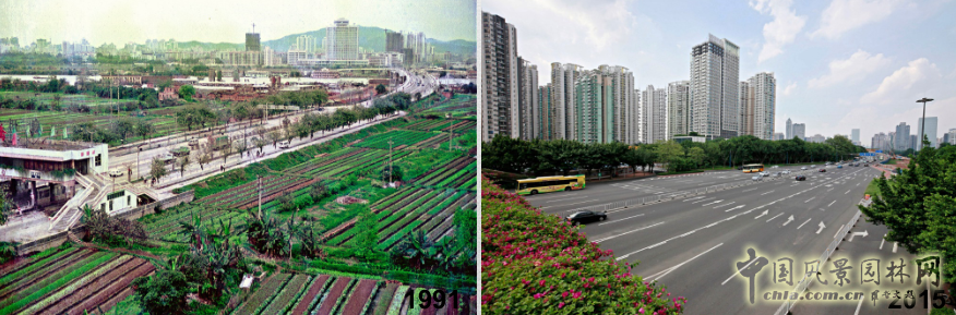 【園冶講壇】王才強:城市中的藍(lán)與綠