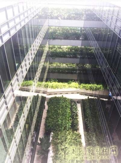 【園冶講壇】王才強：城市中的藍與綠