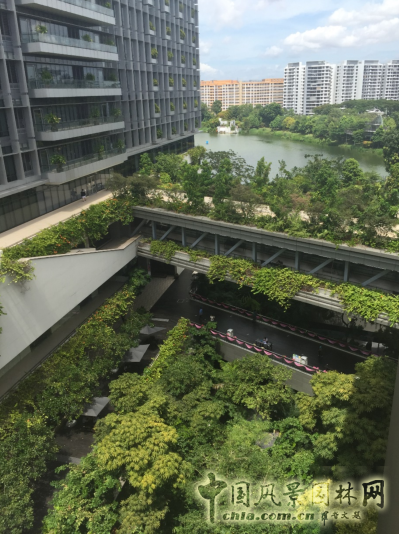 【園冶講壇】王才強：城市中的藍與綠