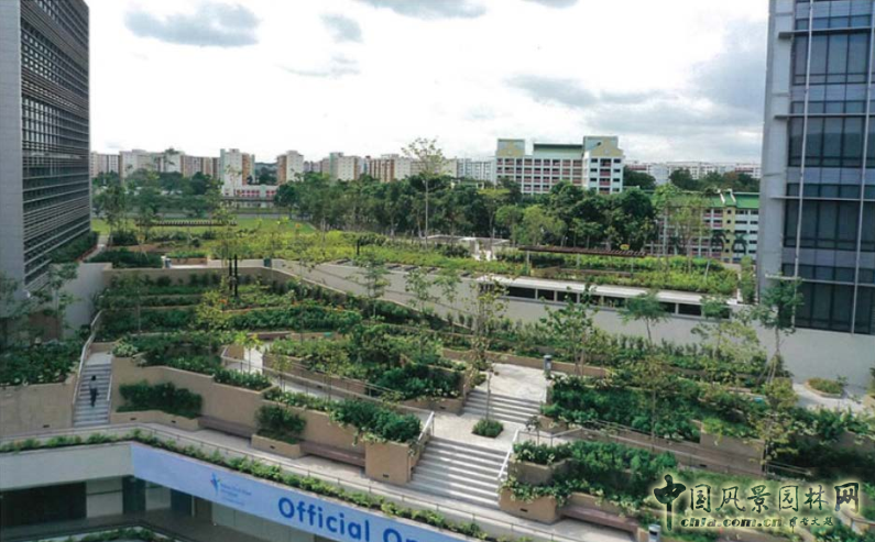 【園冶講壇】王才強：城市中的藍與綠