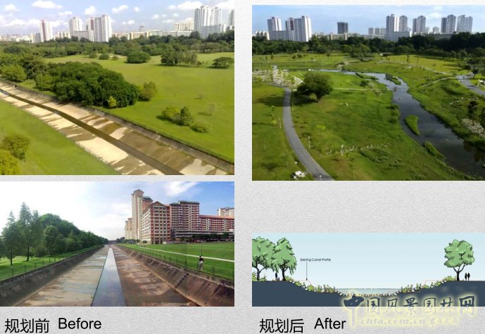 【園冶講壇】王才強(qiáng)：城市中的藍(lán)與綠