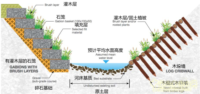 【園冶講壇】王才強(qiáng):城市中的藍(lán)與綠