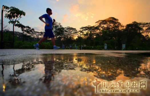 【園冶講壇】王才強:城市中的藍與綠