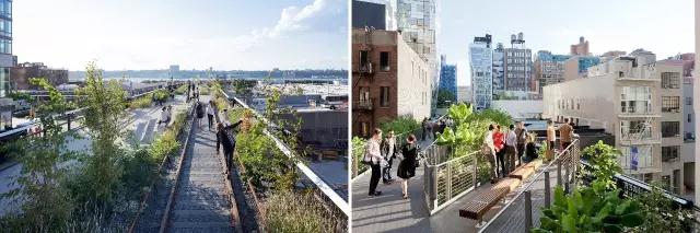 坎蒂斯·達(dá)蒙：從高線公園項(xiàng)目融資談起