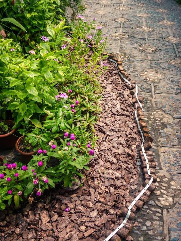 西湖邊上靈動(dòng)的中國(guó)古典園林