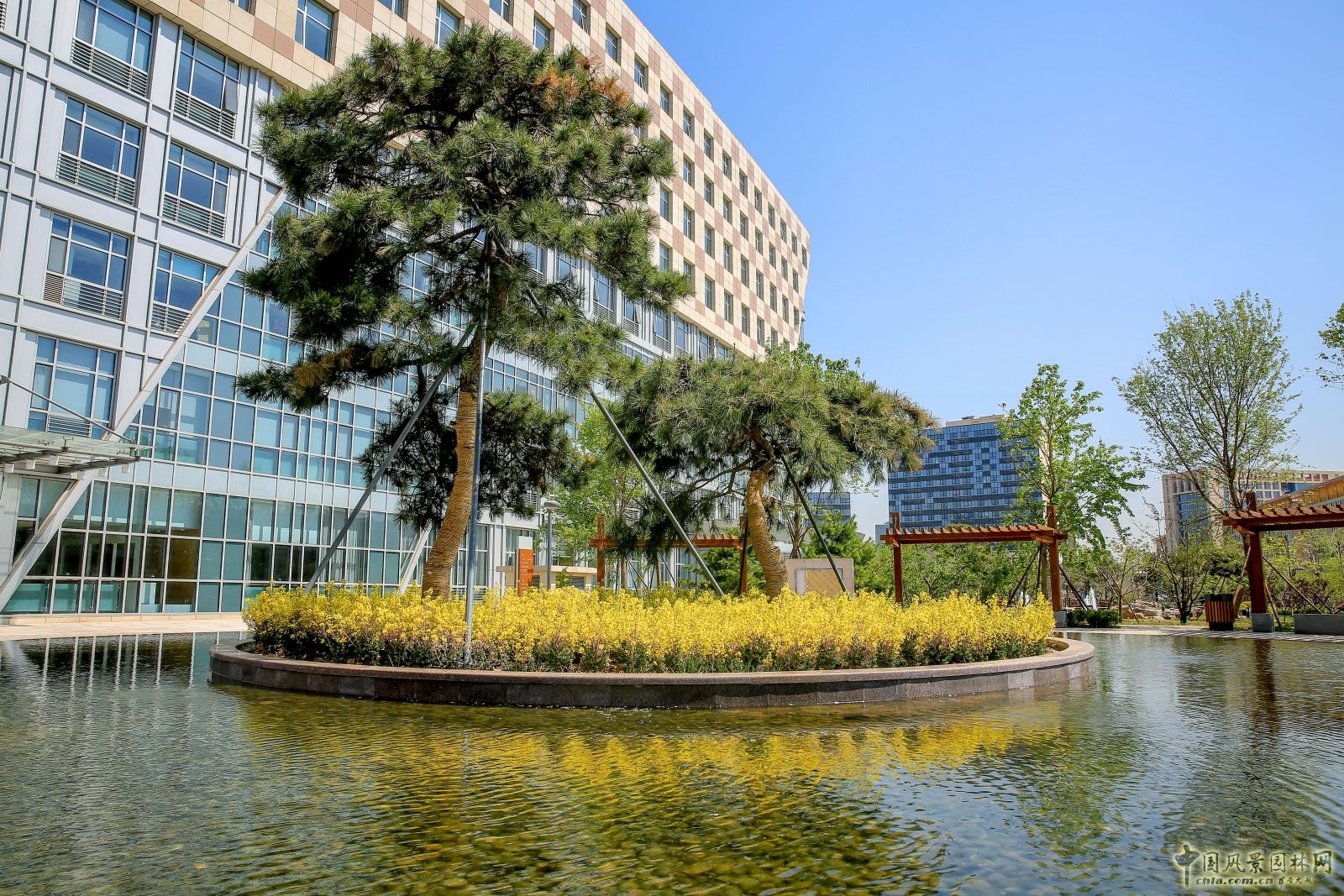 2016園冶杯專業獎參賽項目:北京大學國際醫院景觀工程設計