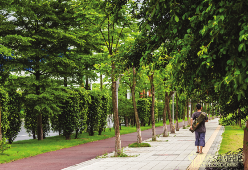 SWA設(shè)計作品：2010廣州亞運(yùn)會亞運(yùn)村