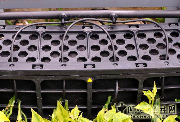 廈門崇圣生態(tài)：生態(tài)綠墻在項(xiàng)目中的應(yīng)用