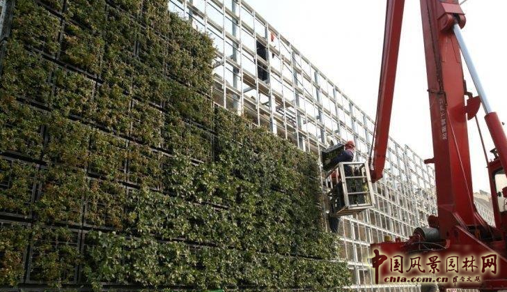 廈門崇圣生態(tài)：生態(tài)綠墻在項(xiàng)目中的應(yīng)用