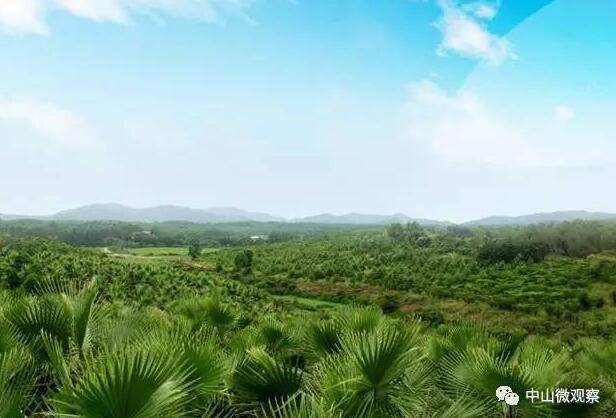 棕櫚股份董事長吳桂昌: 造夢，不要輕易說“不”