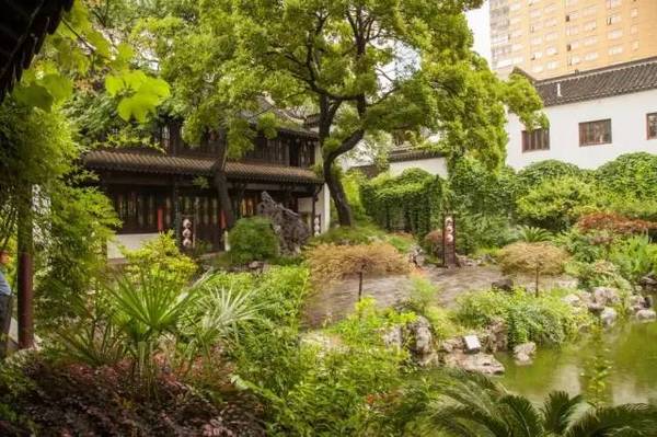 中國古典園林鑒賞：江蘇一些小而精的園林