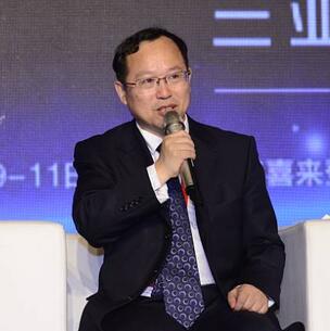 沈遲：特色小鎮要由打造到營造，由增長到成長，由試點到示范