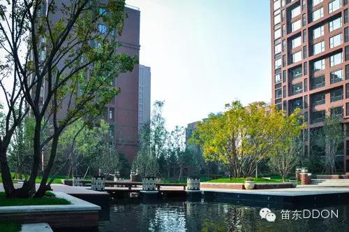 DDON笛東榮獲2016年北京園林優秀設計獎