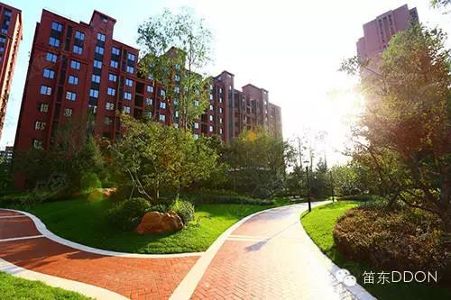 DDON笛東榮獲2016年北京園林優秀設計獎