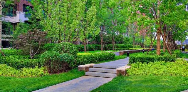 DDON笛東榮獲2016年北京園林優(yōu)秀設(shè)計(jì)獎(jiǎng)