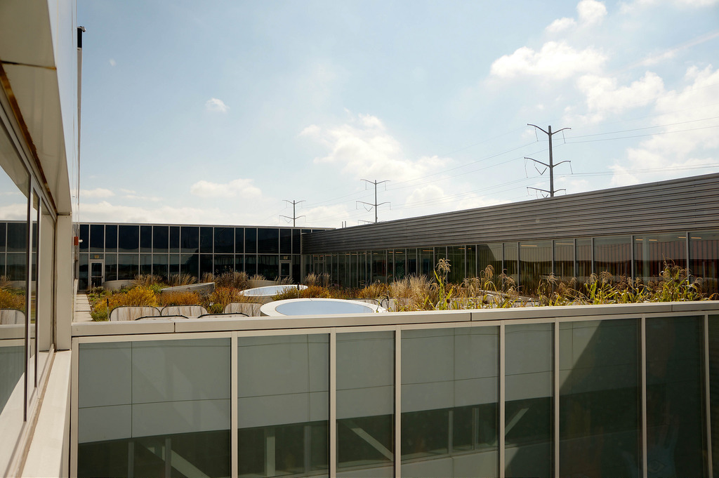 美國(guó)GaryComer青年活動(dòng)中心綠色屋頂