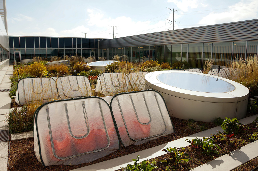 美國GaryComer青年活動中心綠色屋頂