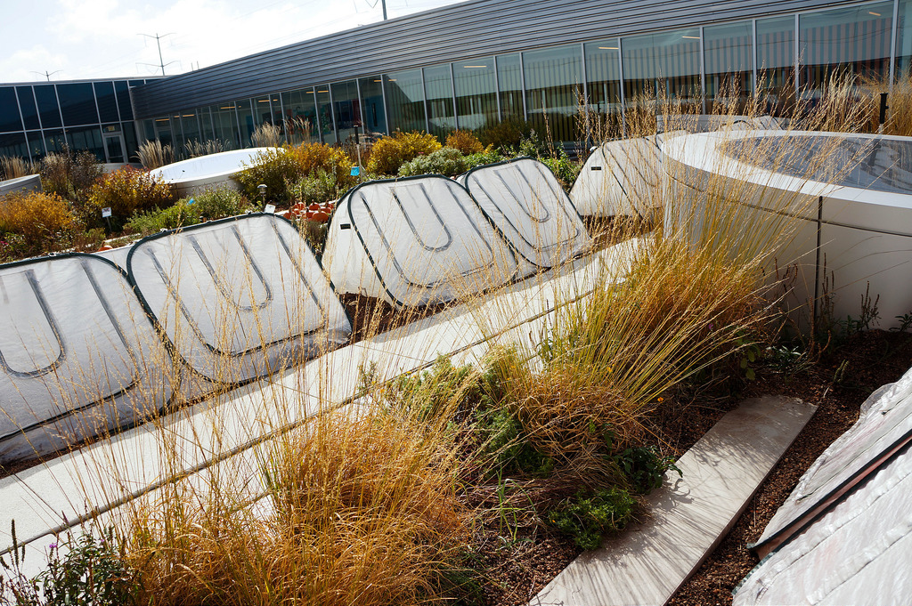 美國GaryComer青年活動中心綠色屋頂