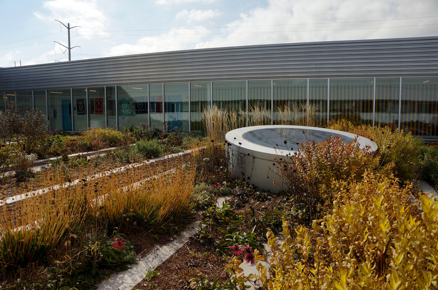 美國GaryComer青年活動中心綠色屋頂