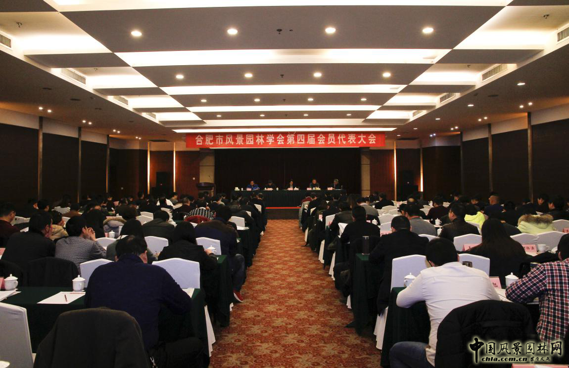 胡優華:資信時代下生態園林行業何去何從