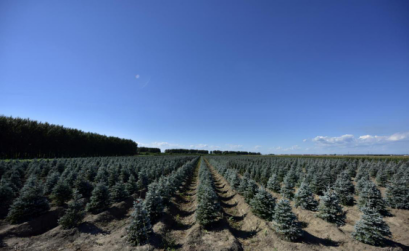 恭賀燕園農業成為中國風景園林網理事單位